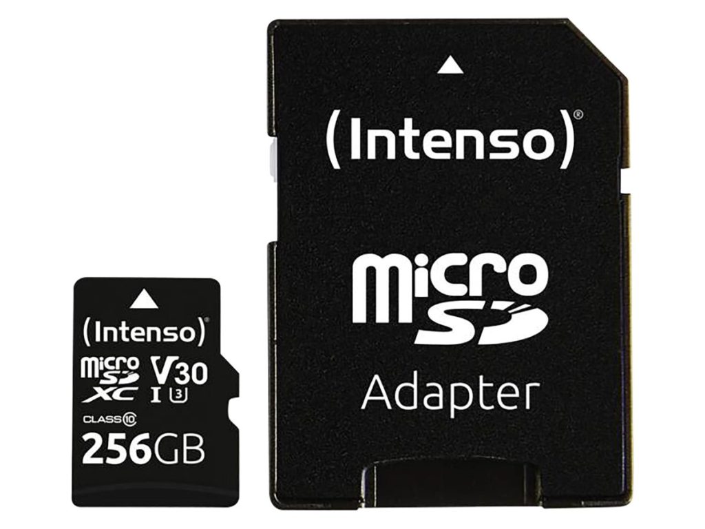 Carte SD pour Switch Intenso Professionnelle 256 Go