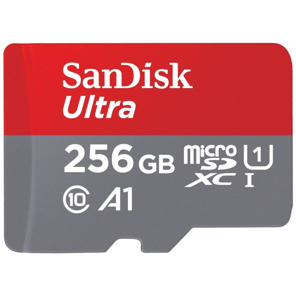Carte SD pour Switch SanDisk Ultra 256 Go